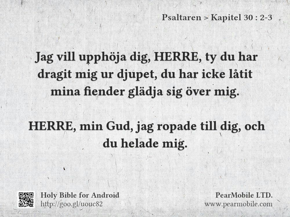 Psaltaren, Kapitel 30:2-3
